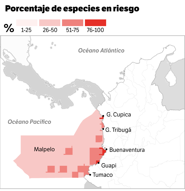 Mapa extraído de la investigación elaborada por Avila y Giraldo. Allí se muestran las zonas del Pacífico donde más riesgos se presentan para los mamíferos marinos del país. Guapi en Cauca, Buenaventura en el Valle, y los golfos de Tribugá y Cupica en el Chocó, son los puntos que mayor números de amenazas concentran en esta región.