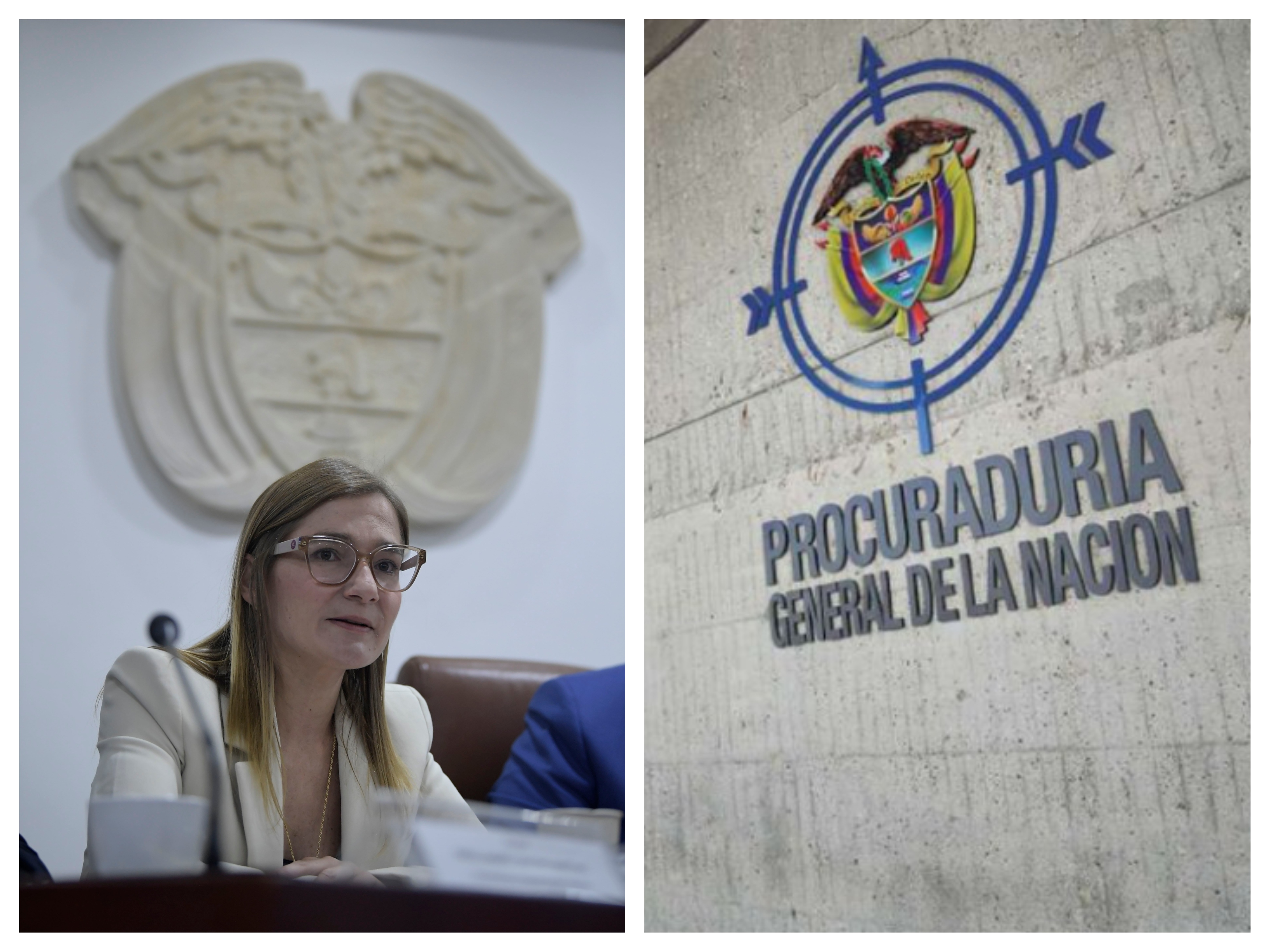 Viceministra Daniela Gómez debe explicar qué se hizo en el Parque Chiribiquete