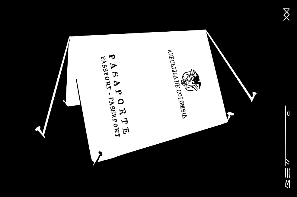 Pasaportes