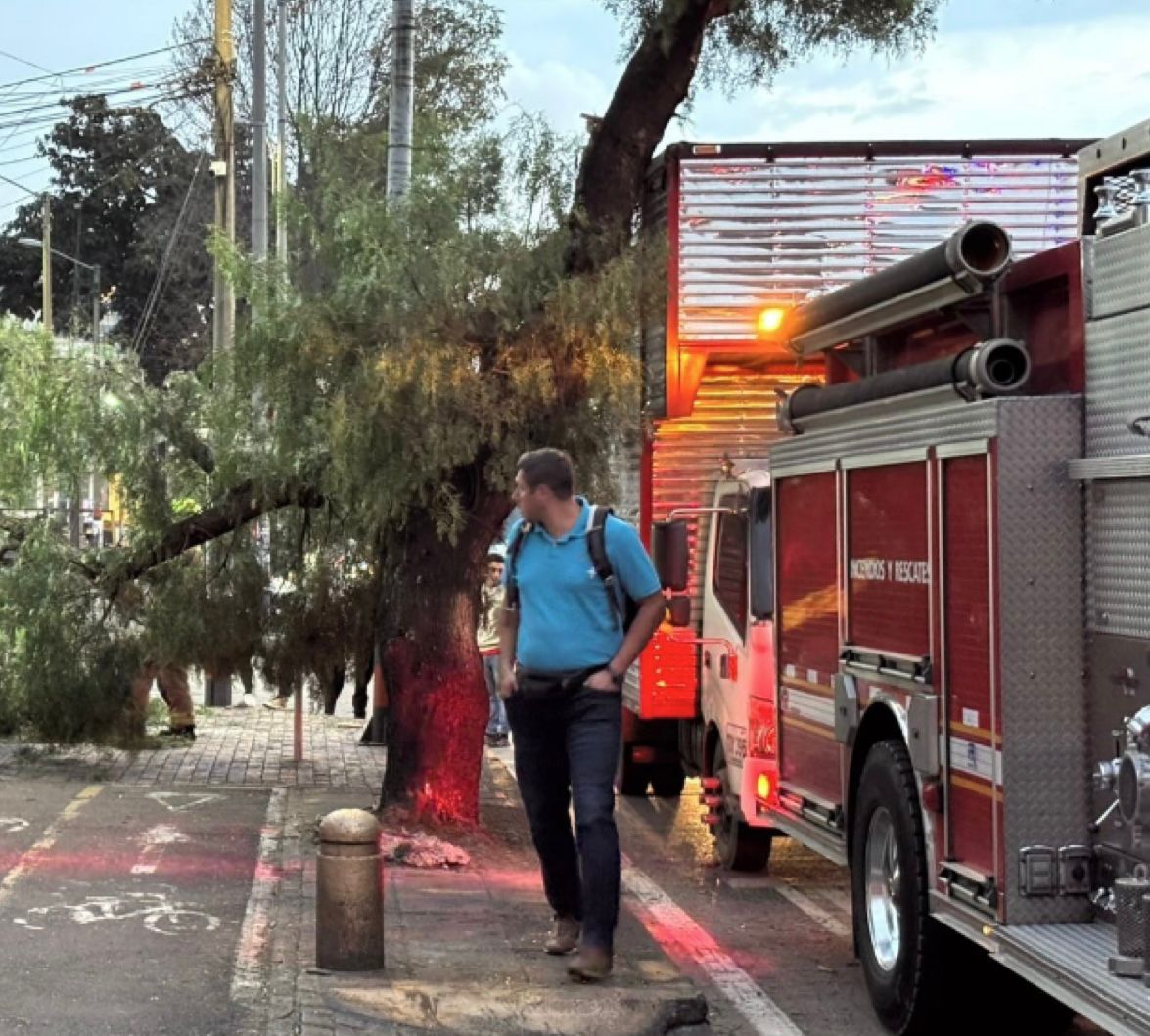 Movilidad hoy: Choque de camión contra árbol afecta la movilidad en Barrios Unidos