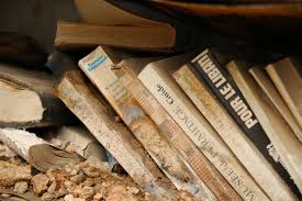 Una posible reinvención del oficio del promotor de lectura