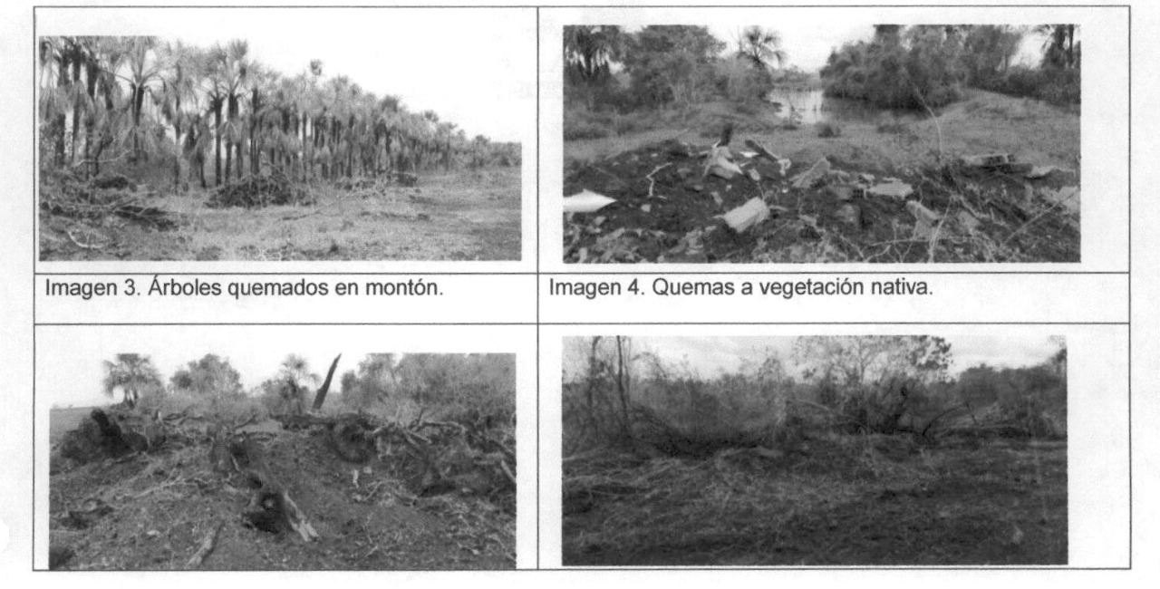 Fotos tomadas por Cormacarena que dan cuenta de la deforestación realizada por los menonitas.