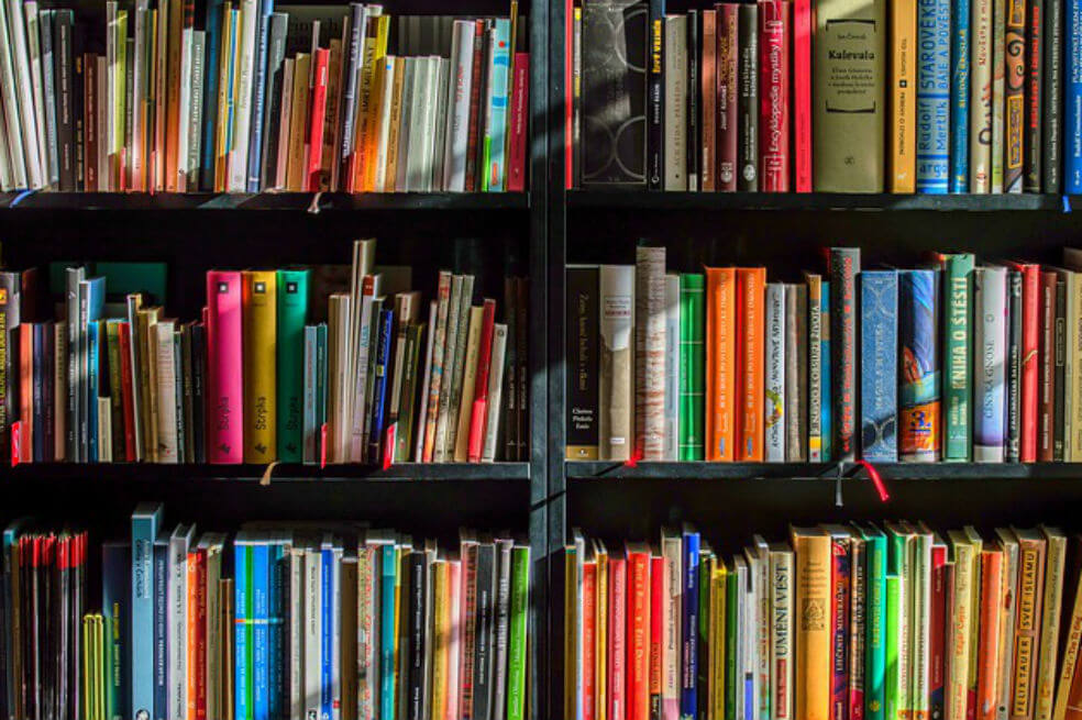 ¿Se puede vivir en Colombia de la traducción de novelas?