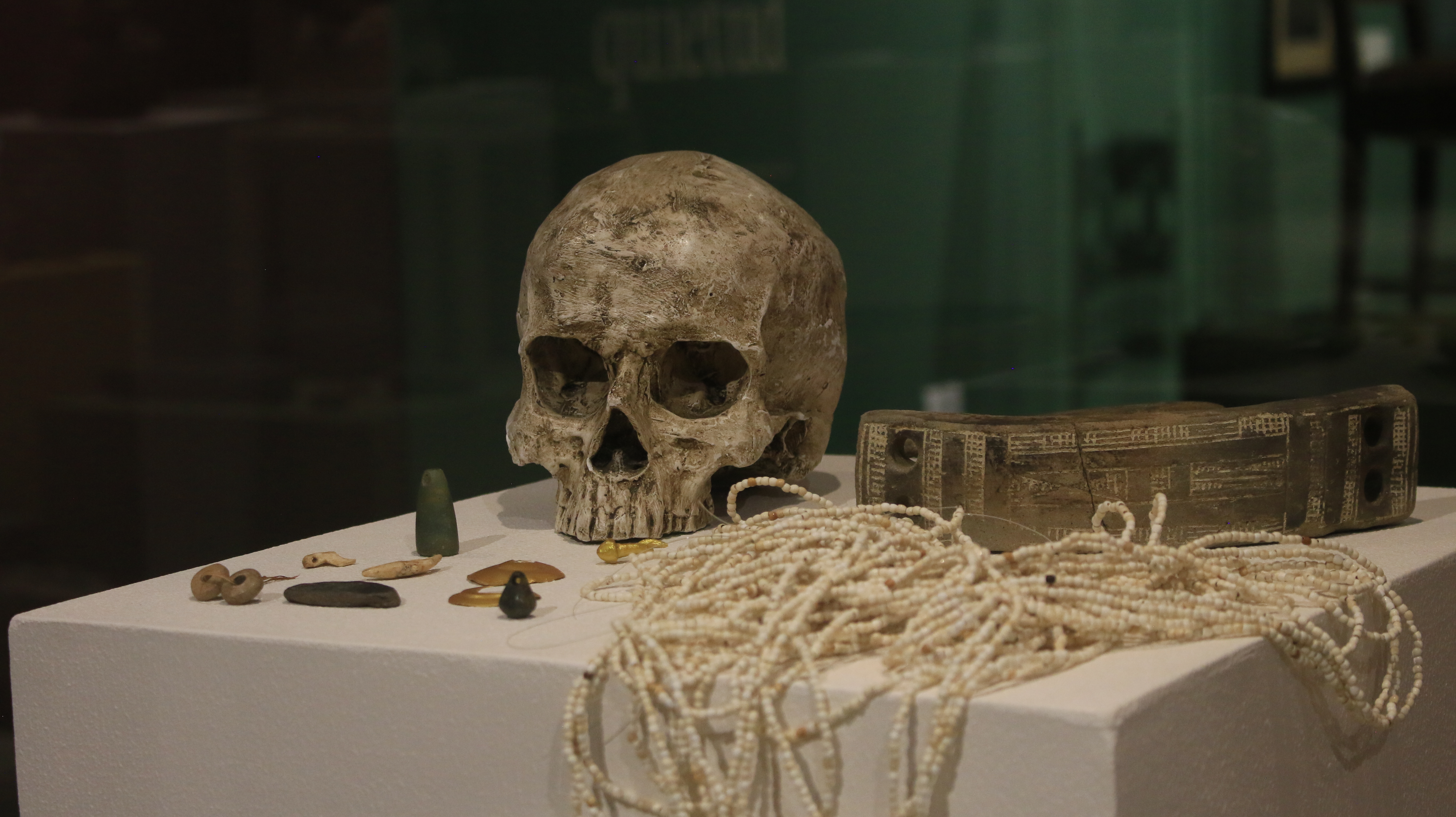 Inauguración del Museo de la Universidad de Caldas