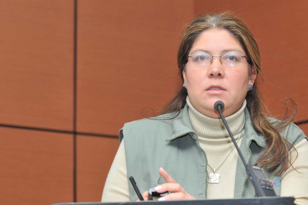 Alejandra Barrios, directora de la Misión de Observación Electoral.