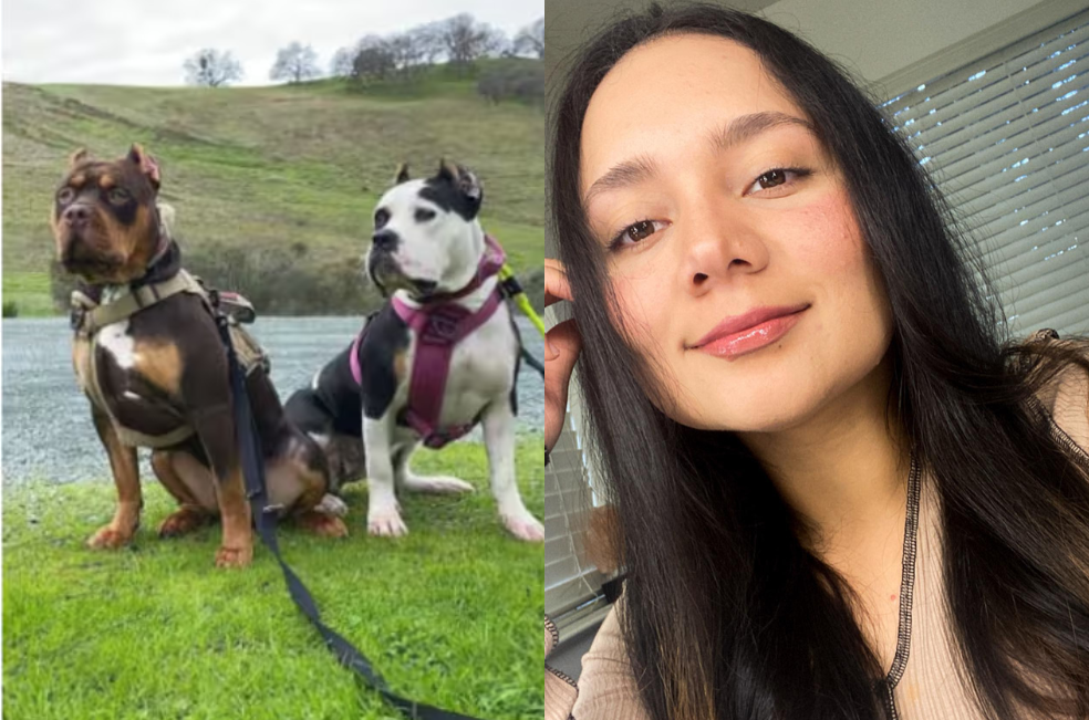 “No es la raza”: colombiana atacada por sus perros en EE. UU. es dada de alta