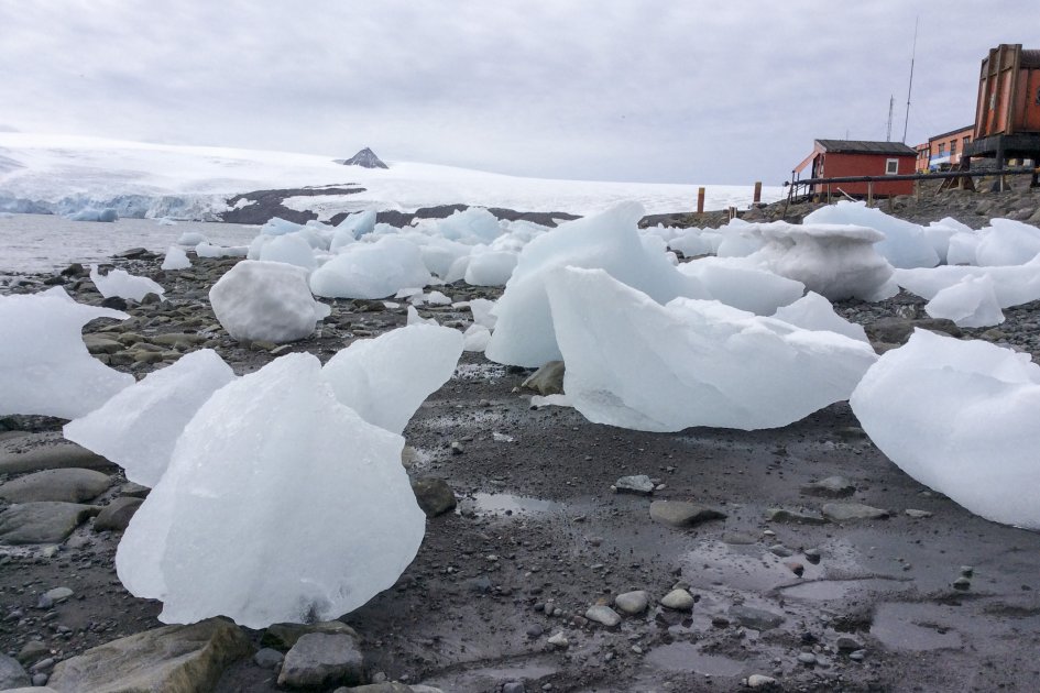 Cambio climático produce en la Antártida trastornos que alarman a los científicos.
