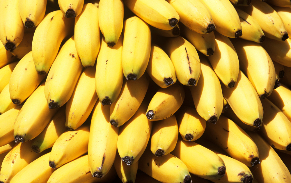 La exportación de banano del Magdalena: entre sobrecostos y retos logísticos