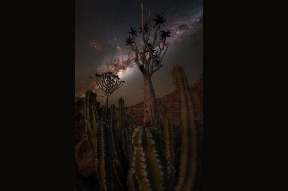 “Valle de los Cactus” de Pablo Ruiz es una foto panorámica de la Vía Láctea en una zona remota del Valle de Cactus de Atacama, conocido por su gran concentración de cactus.