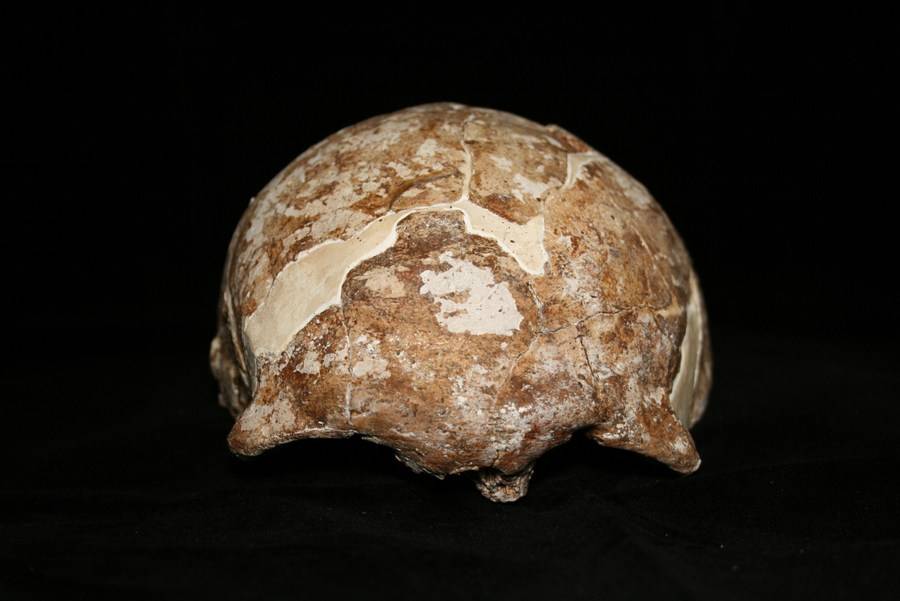Científicos chinos secuenciaron el genoma de un humano de hace 14.000 años