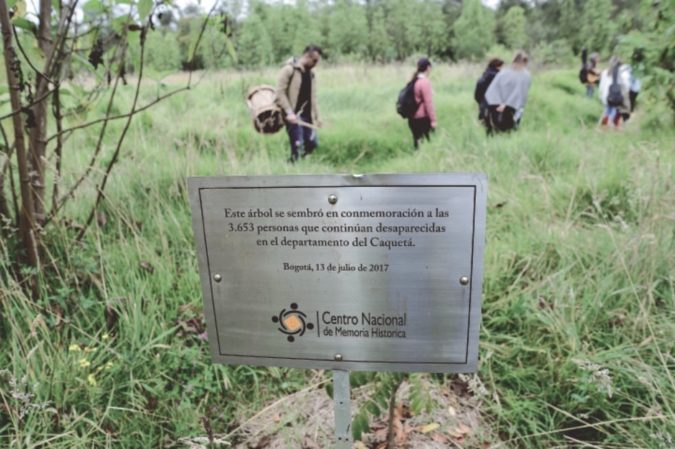 El bosque de los desaparecidos en la Reserva Van der Hammen