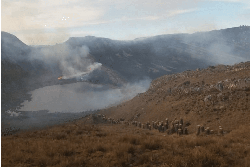 Incendio destruye zona protegida del páramo del Almorzadero en Santander