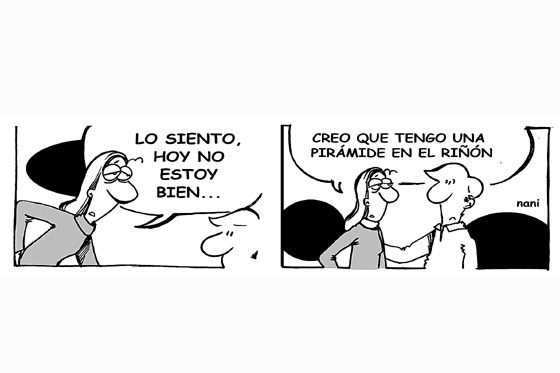 Riñon