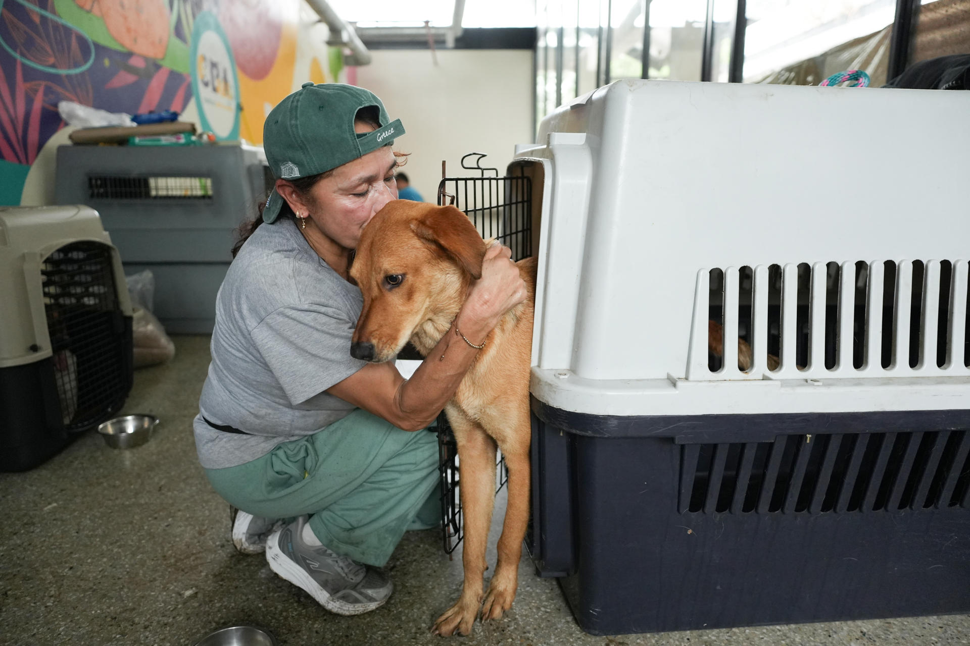 FOTODELDÍA AME507. CALI (COLOMBIA), 19/08/2026.- Una mujer abraza a un perro en el Centro de Bienestar Animal (CBA) este miércoles, en Cali (Colombia). Justo cuando la tierra dejó de temblar, un grupo de veterinarios agarraron su kit de primeros auxilios y salieron a las calles de la ciudad colombiana de Cali para atender perros y gatos heridos, asustados o separados de sus familias tras el terremoto de magnitud 7,4 del 10 de agosto. EFE/ Ernesto Guzmán
