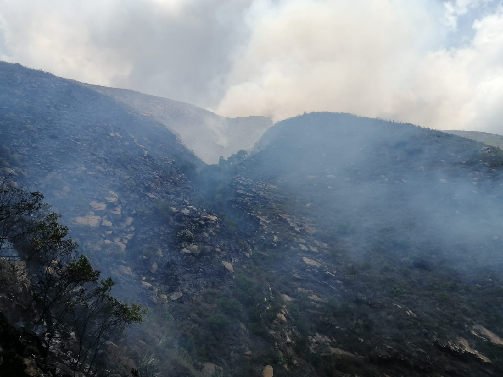 Incendio forestal Villa de Leyva