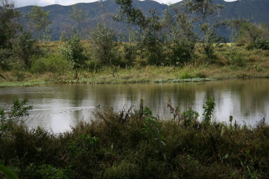 Colombia tiene 31.702 humedales