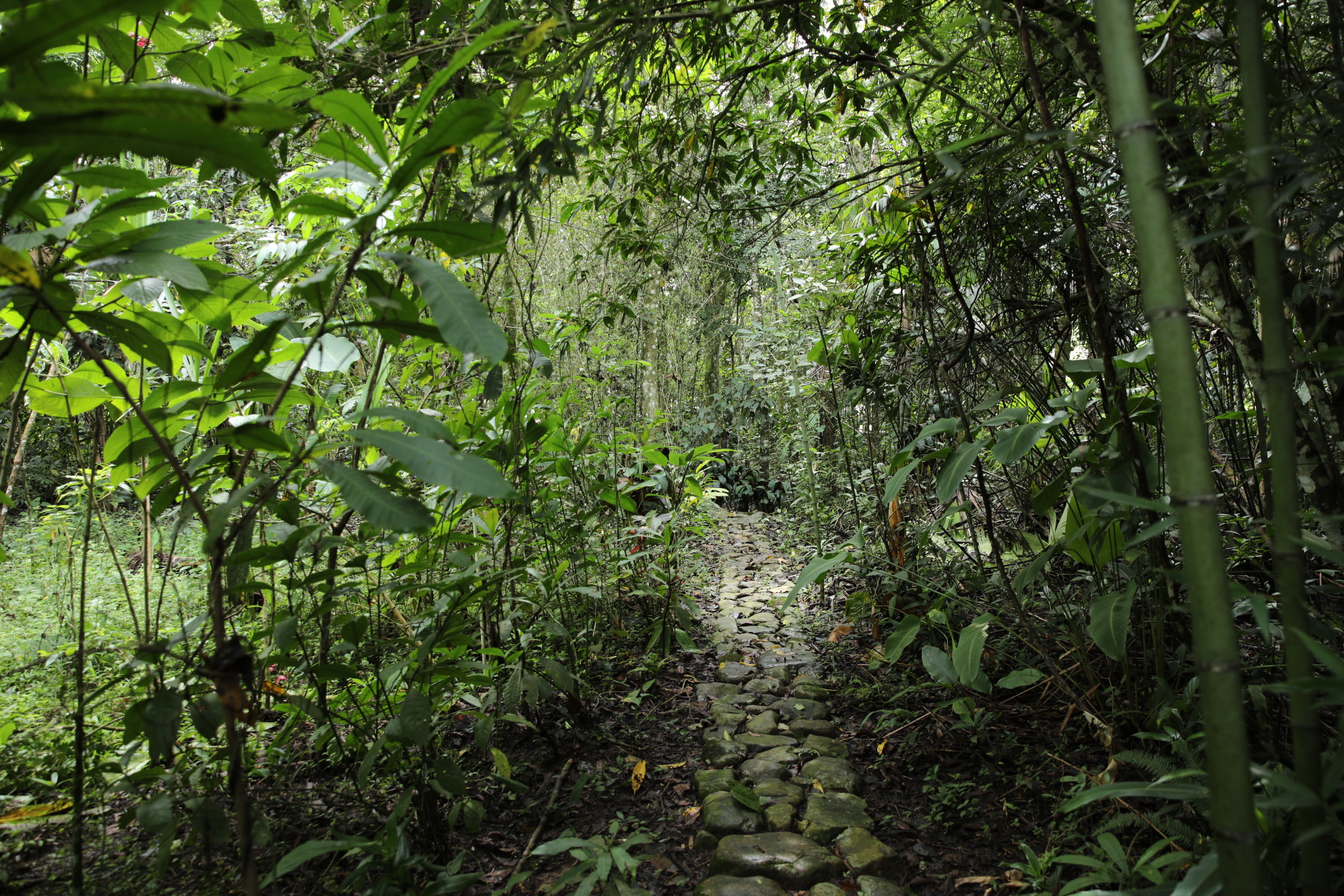 Pueblo Bello, Cesar: un viaje a la cultura ancestral y la belleza natural