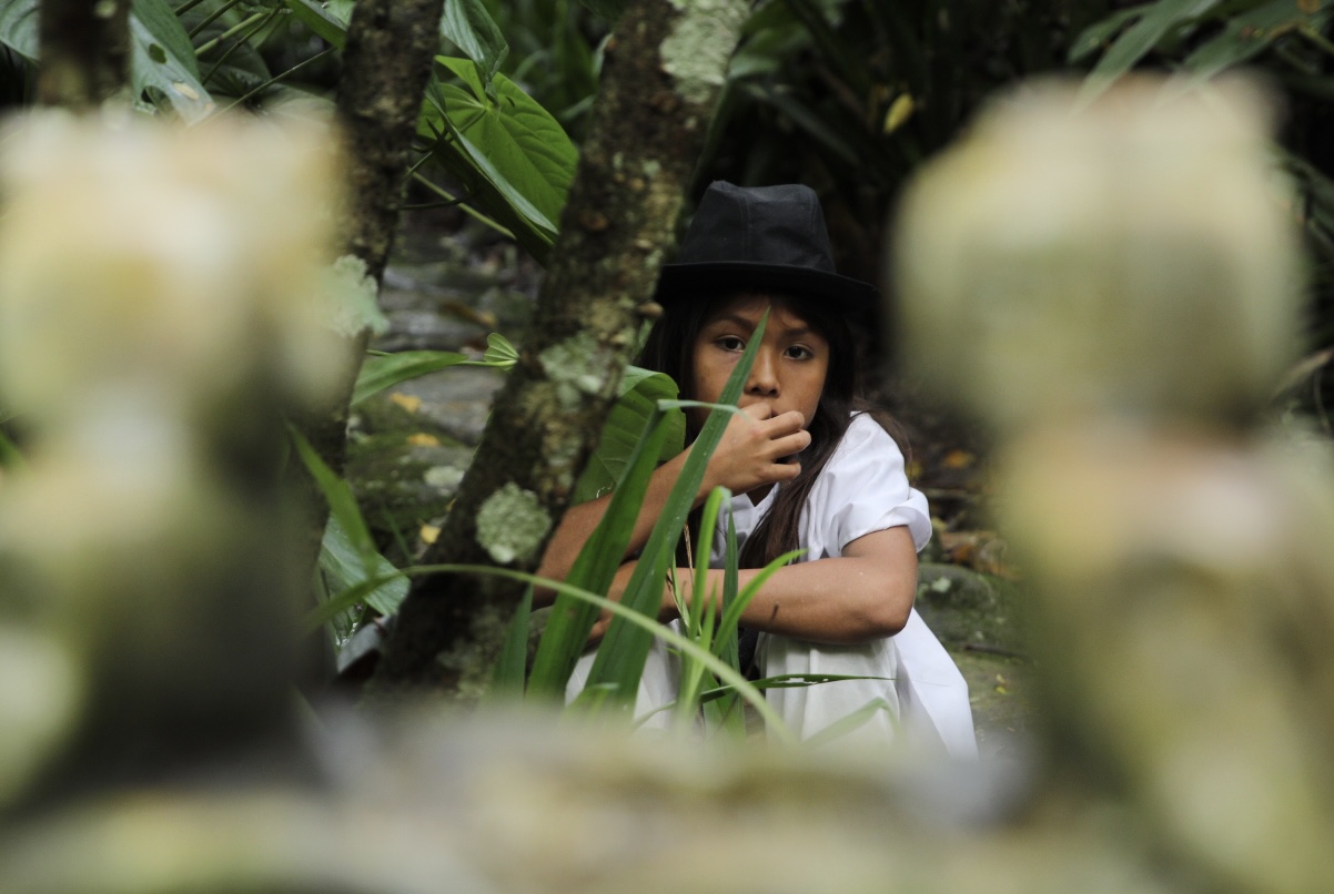 Pueblo Bello, Cesar: un viaje a la cultura ancestral y la belleza natural