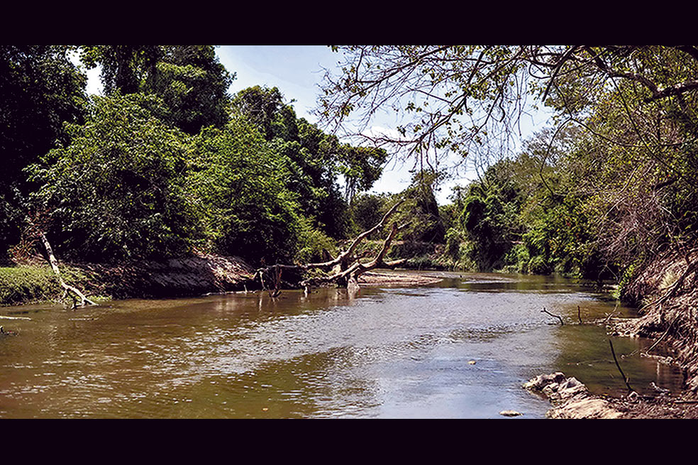 El arroyo que se le atravesó al Cerrejón