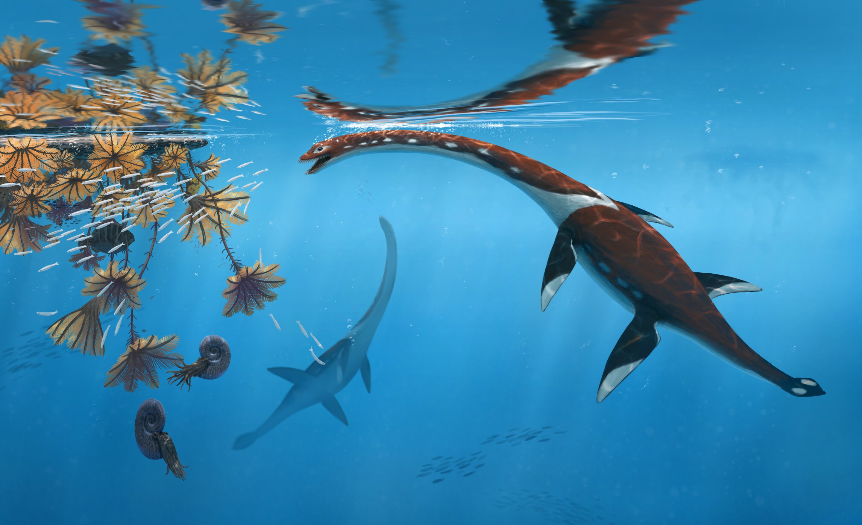 Describen por primera vez este reptil marino gigante de hace 183 millones de años