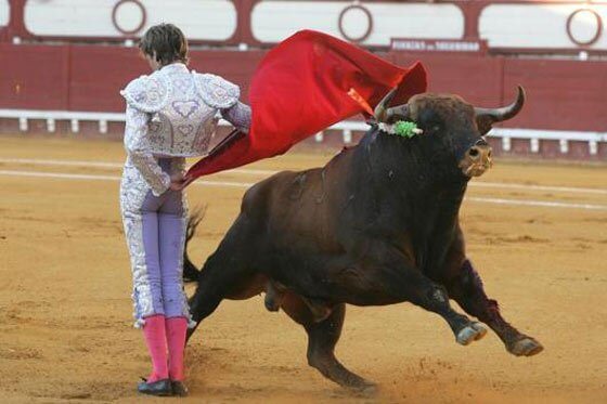 Sin su esencia, la ley antitaurina pasa su primer filtro