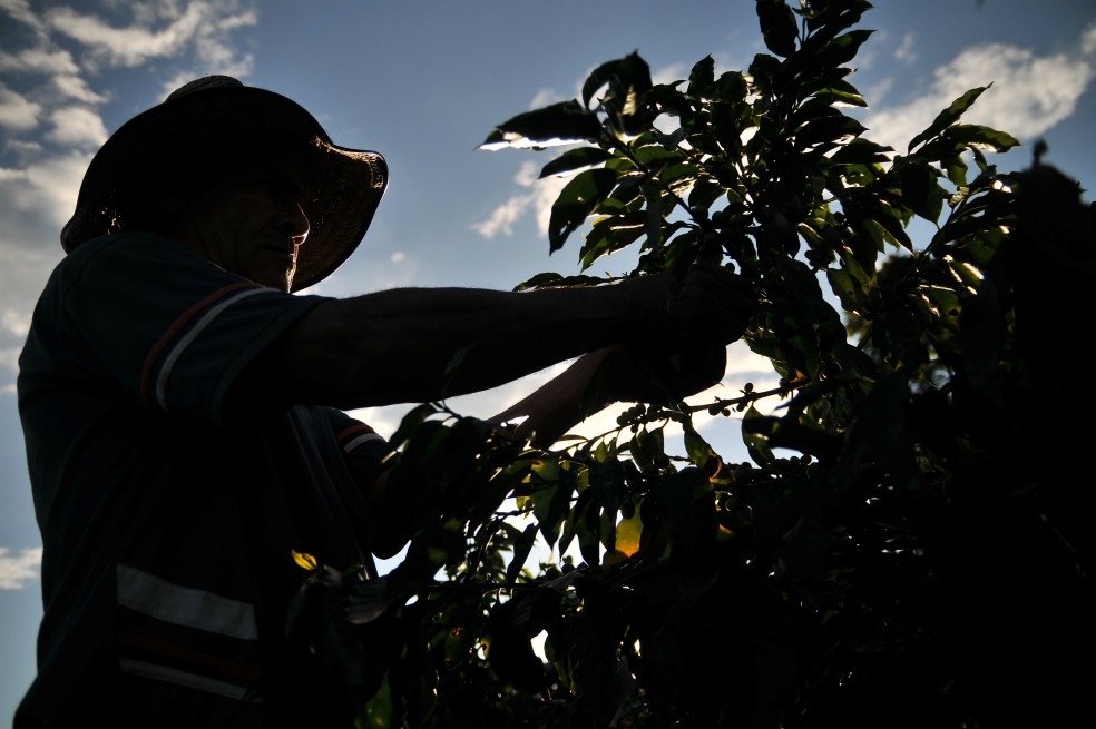 Colombia no votó a favor de la declaración de los derechos campesinos en la ONU