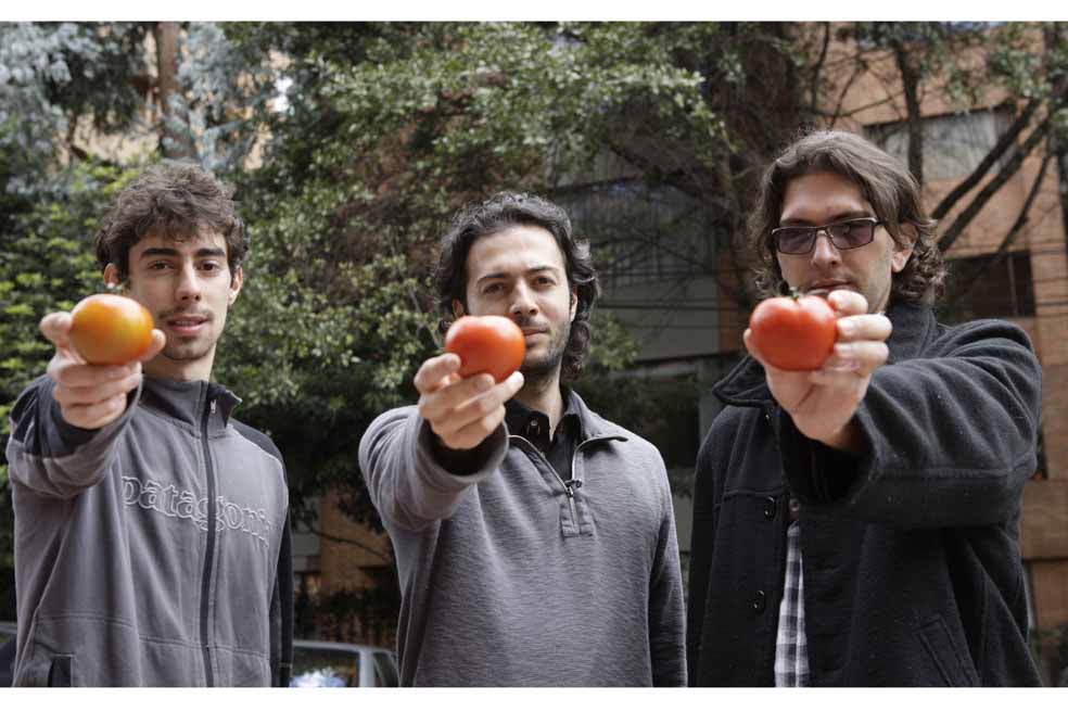 Un tomate todavía ‘pintón’