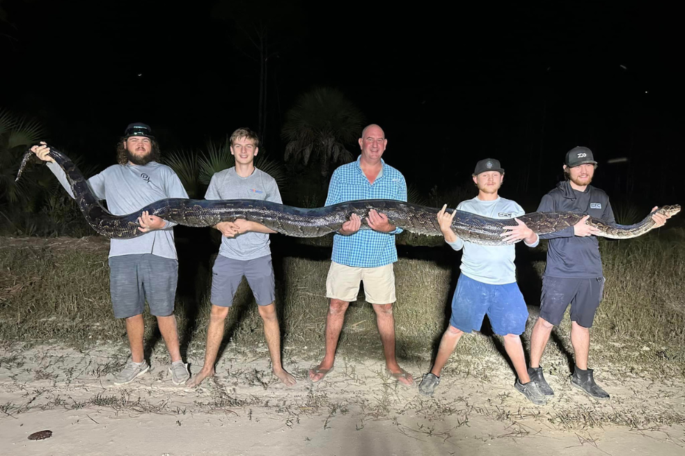 Para capturarla, cinco hombres debieron sentarse sobre la serpiente.