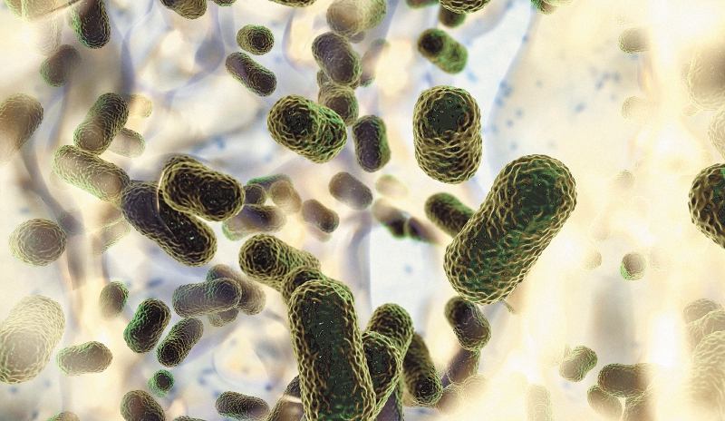 Mal uso de antibióticos, un problema que causa 1,27 millones de muertes