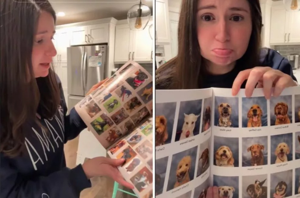 ¿Un anuario para perros? Esta es la nueva propuesta de un refugio en Nueva York
