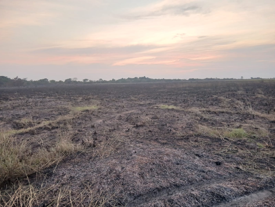 Denuncian incendio intencional que habría arrasado 900 hectáreas en bioparque del Casanare