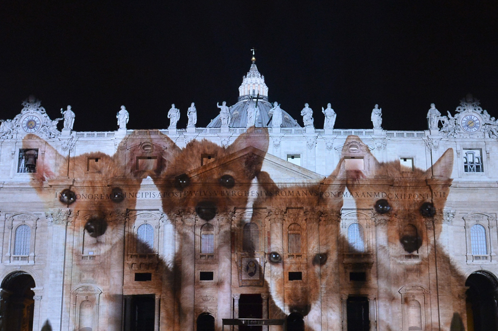 El Vaticano se tiñó de color por el medio ambiente con un espectacular show de luces