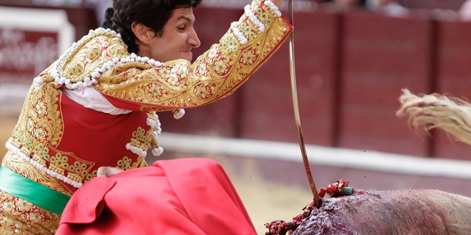 Tauromaquia: ¿arte o tortura?