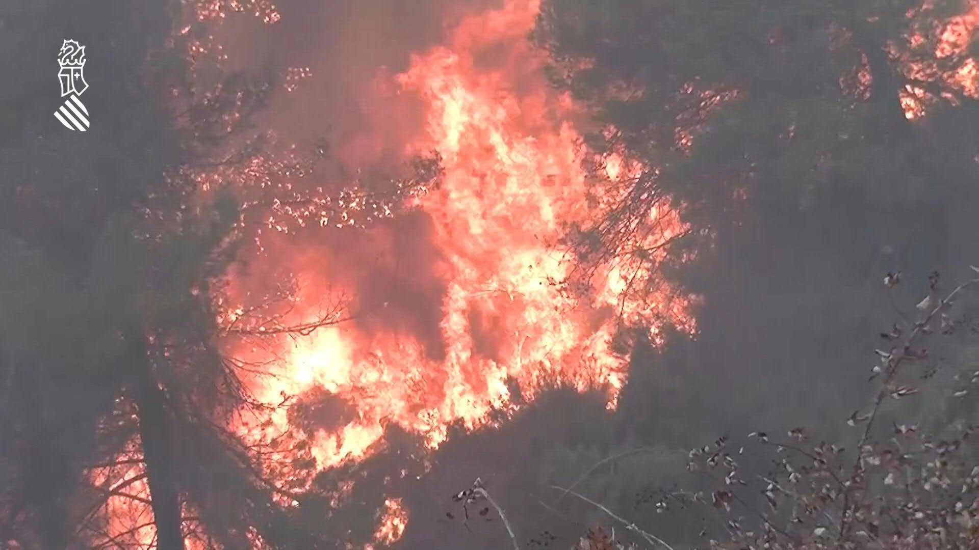 Avanza sin control incendio forestal en España