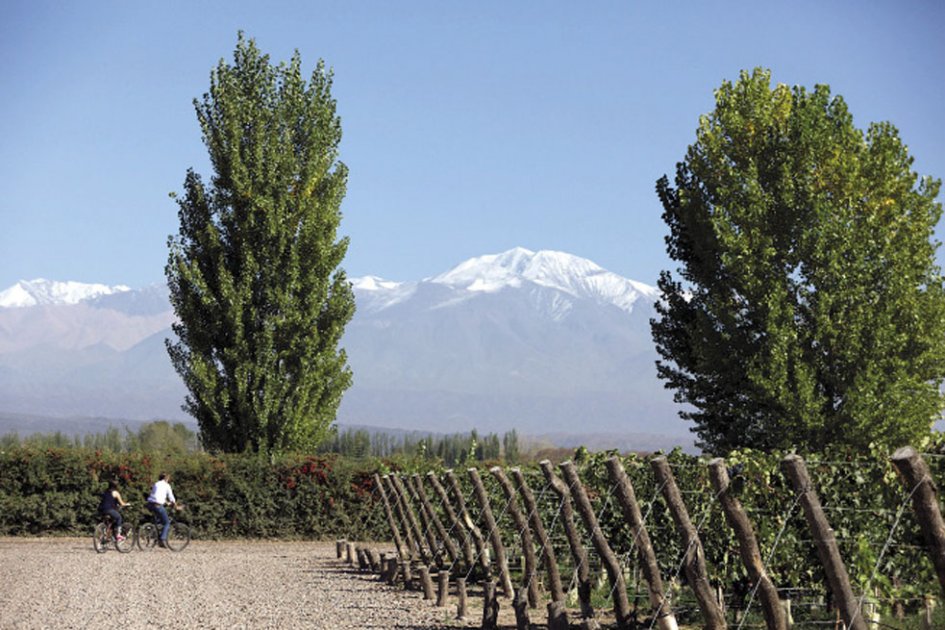 Mendoza,un paseo por los viñedos
