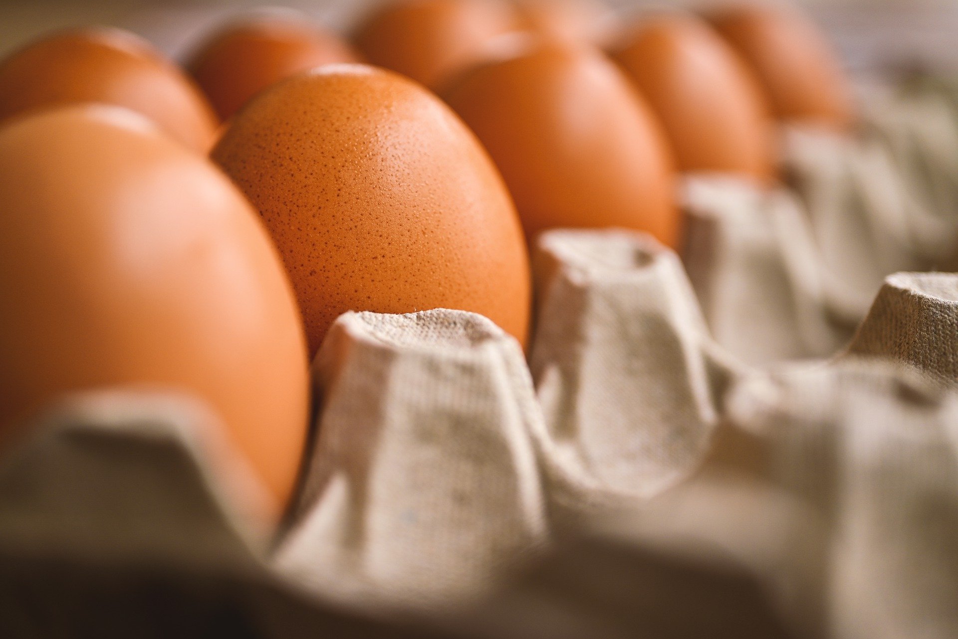 Avicultores en Santander regalaron huevos en protesta por crisis por bajos precios