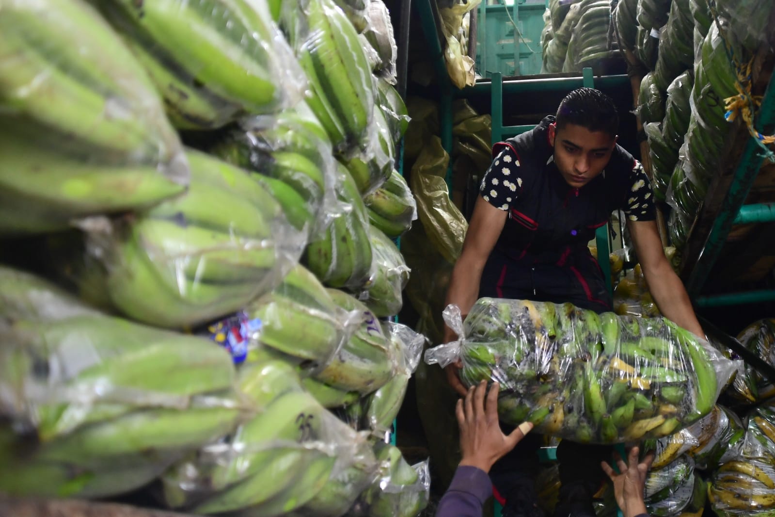 Las conclusiones de la octava conferencia internacional de la Vía Campesina