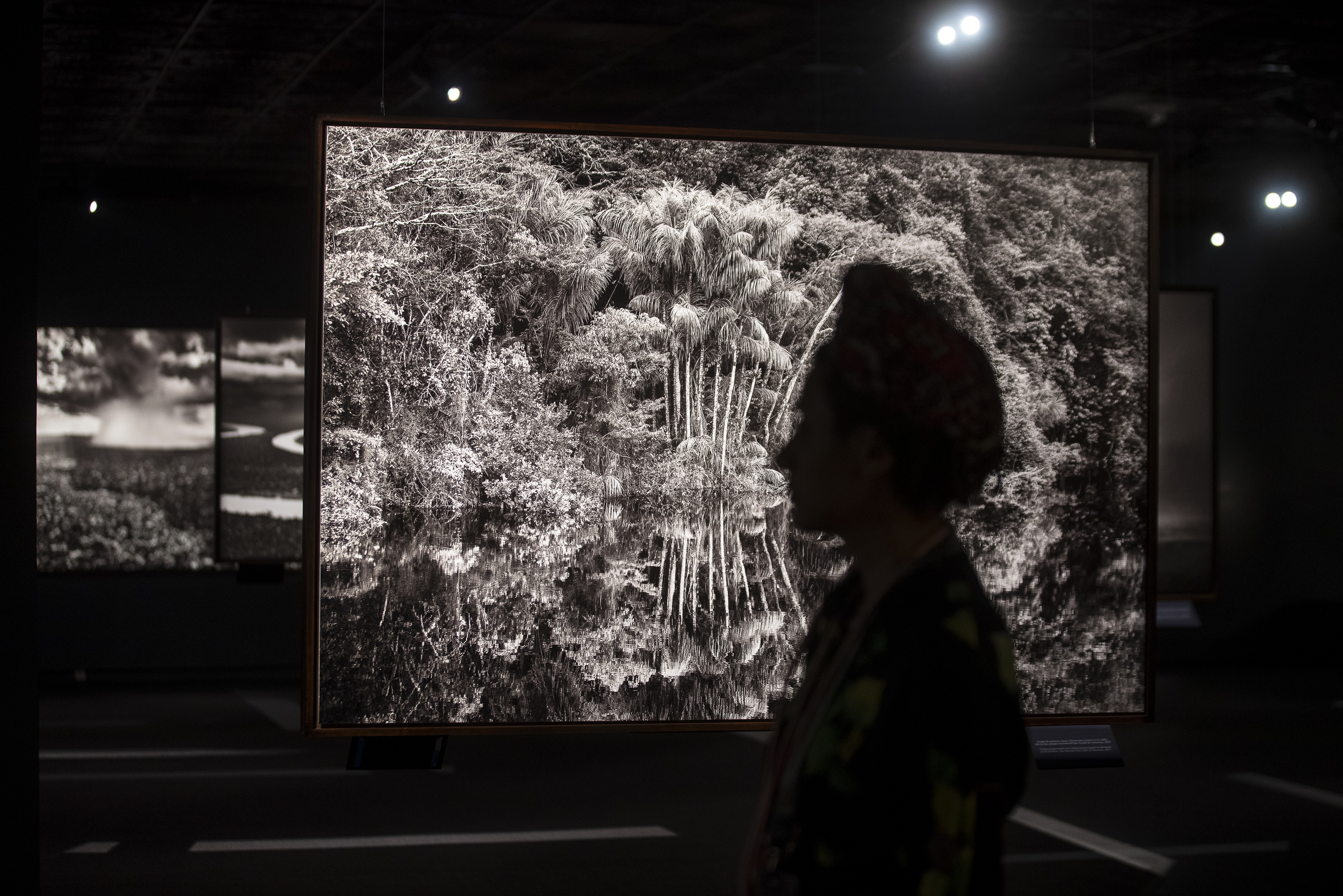 El legado ambiental de Sebastião Salgado, el fotógrafo brasileño que retrató la Amazonía