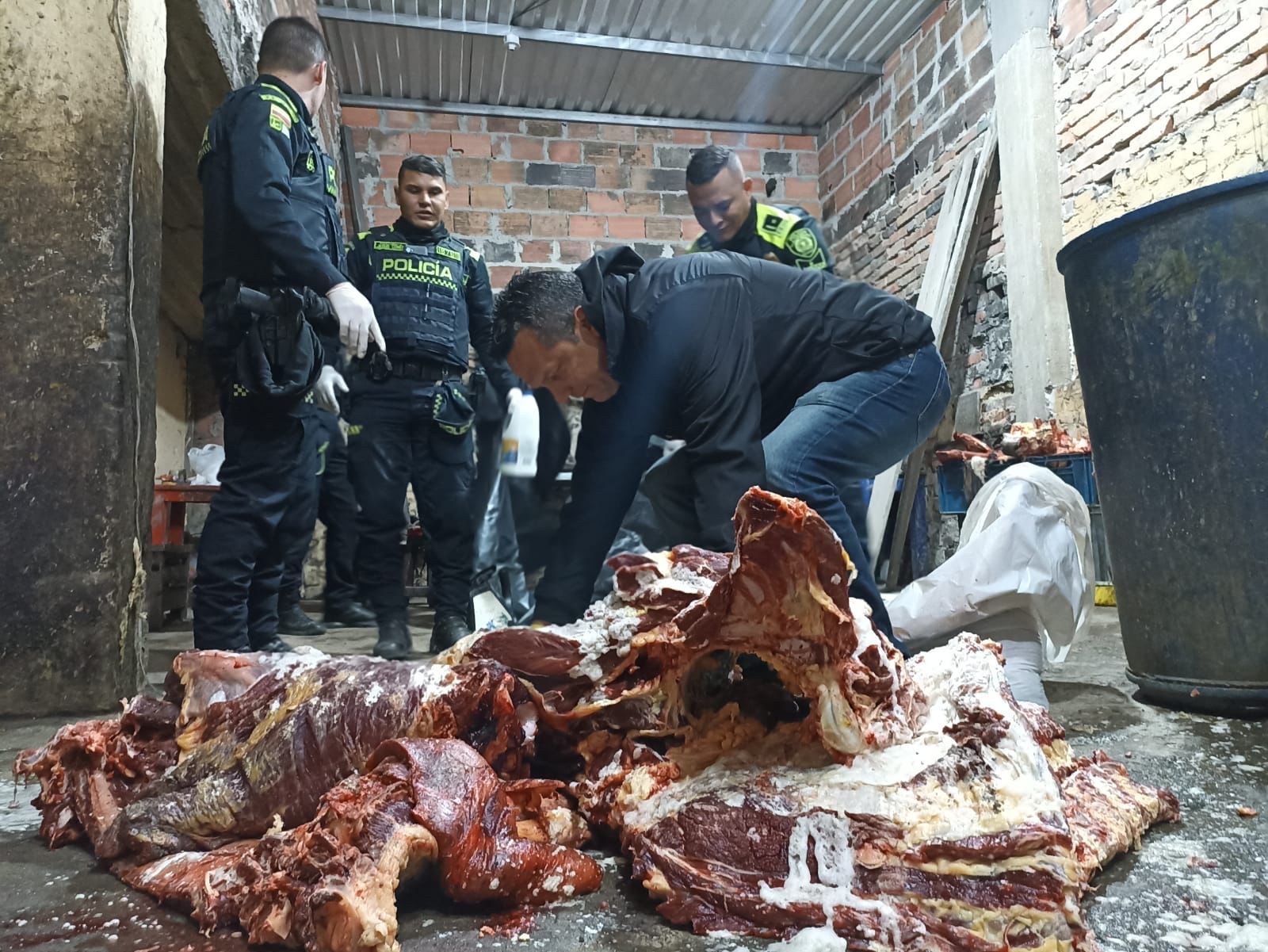 Incautan 250 kilos de carne insalubre, que iban a vender en Ciudad Bolívar