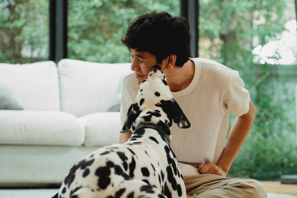Más que cariño: el significado detrás de los lamidos de tu perro