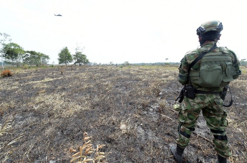 ¿Qué tan efectiva ha sido la intervención militar para detener la deforestación?