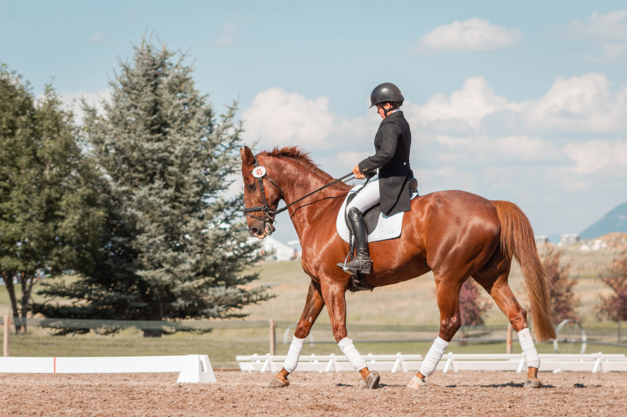 ¿Equitación vegana? Este es el nuevo deporte en el que no se usan caballos