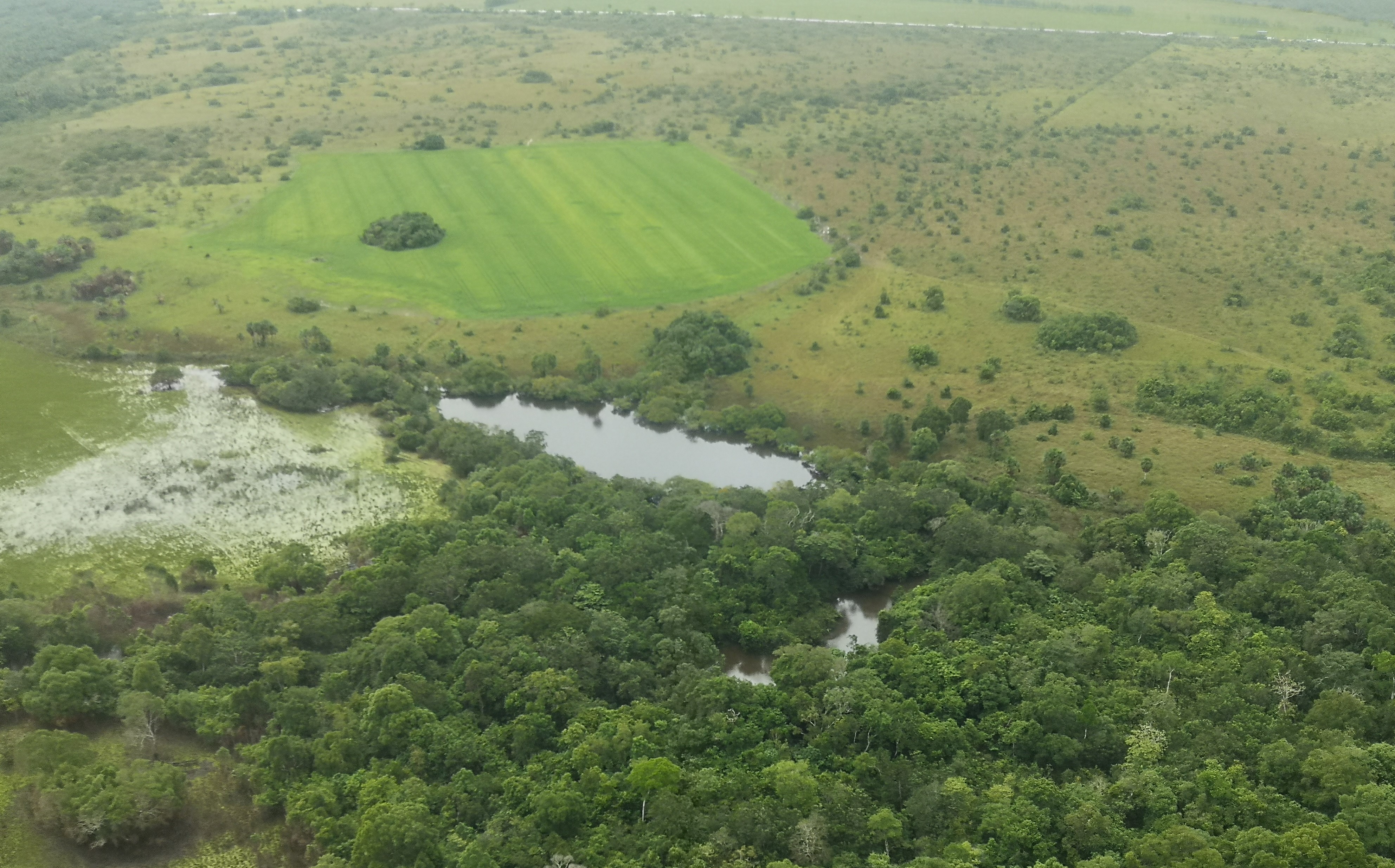 Desde el aire es evidente el avance de cultivos a gran escala transformando el agua y las sabanas arboladas del Vichada. Foto Thomas Walschburger, TNC Colombia