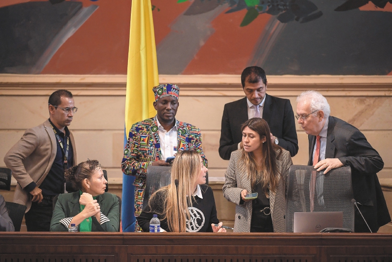 Esta semana en el Congreso fueron aprobados la mayoría de los artículos del PND. / Mauricio Alvarado - El Espectador
