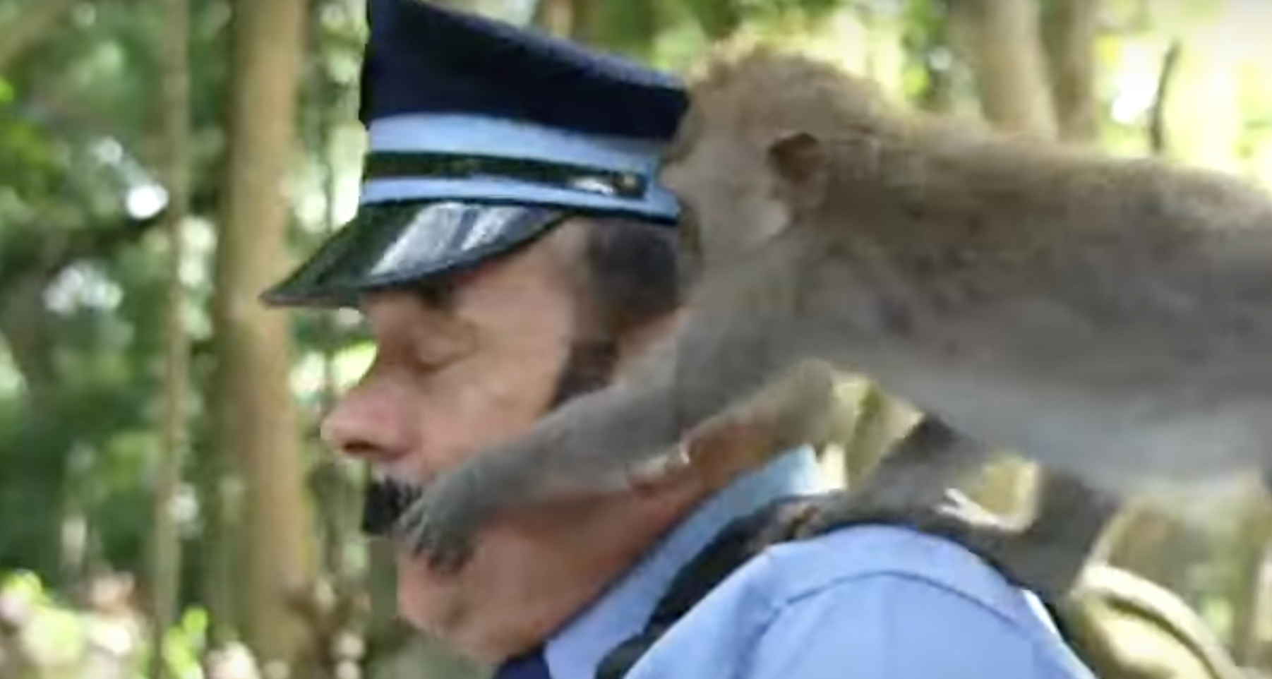 Video: monos robaron a Carolina Cruz y a Don Jediondo en un santuario de Indonesia