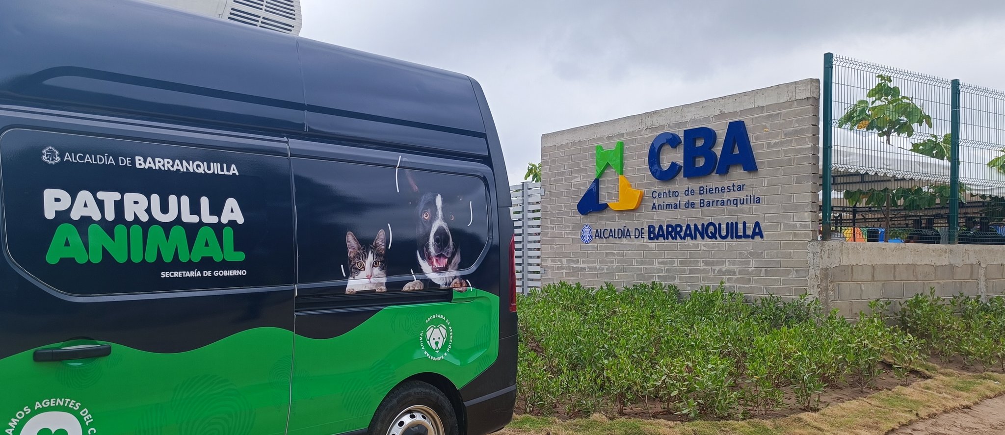 ¡Buenas noticias! Barranquilla inaugura este viernes su Centro de Bienestar Animal
