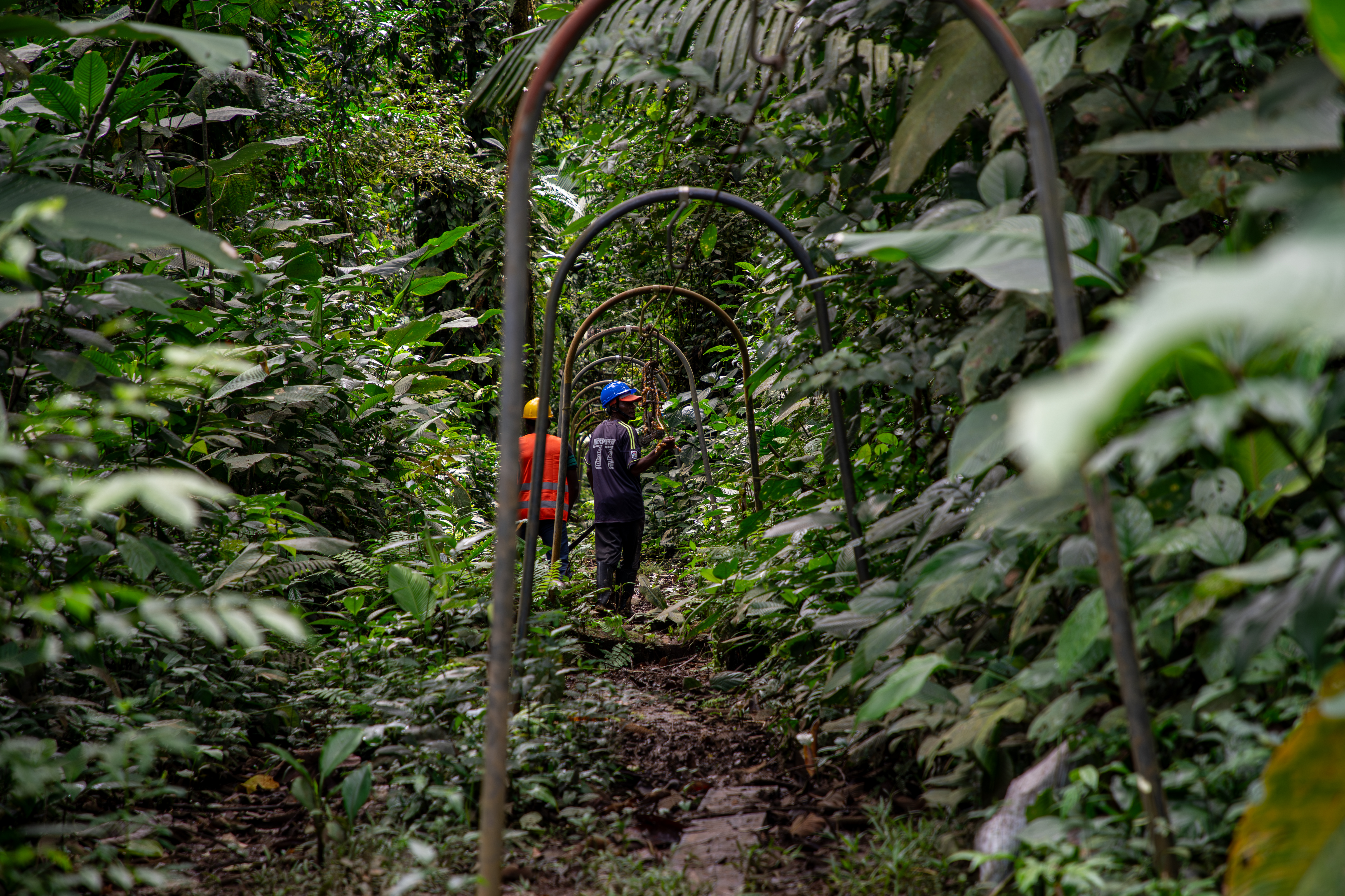 Las iniciativas comunitarias para conservar la naturaleza que surgieron tras el Acuerdo de Paz 