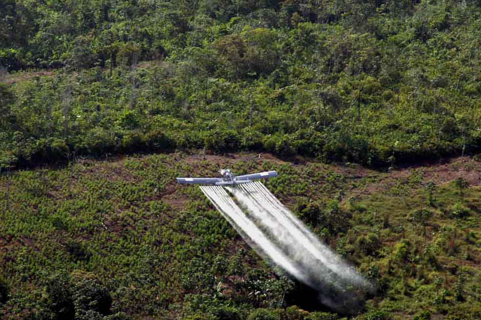 Gobierno De la Espriella tumba decreto que prohibía la aspersión aérea con glifosato