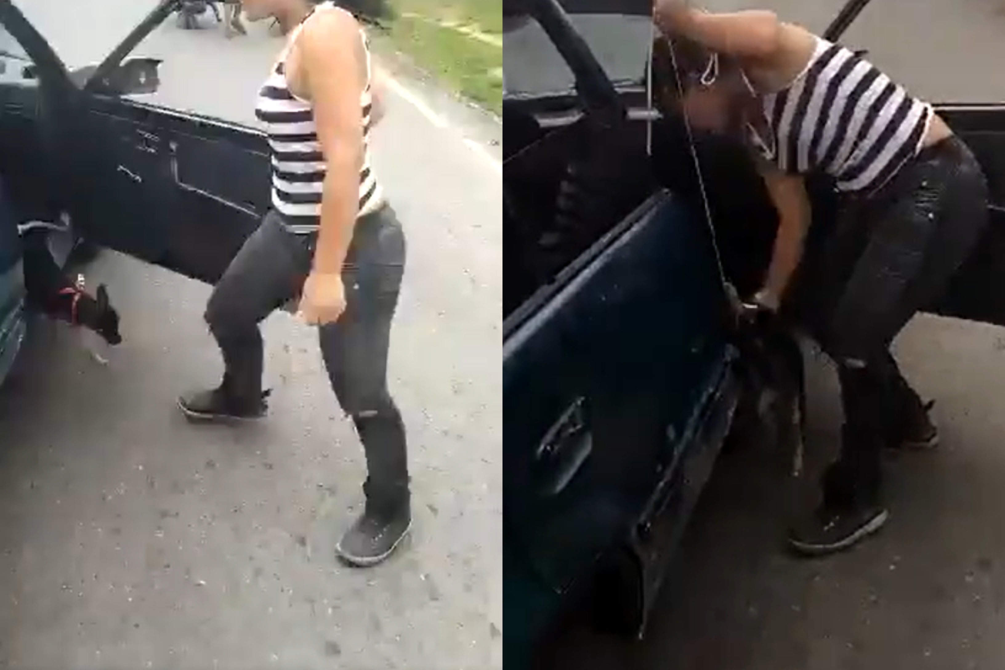 Nuevo caso de maltrato en Cali: una mujer arrastró a un cachorro desde un carro
