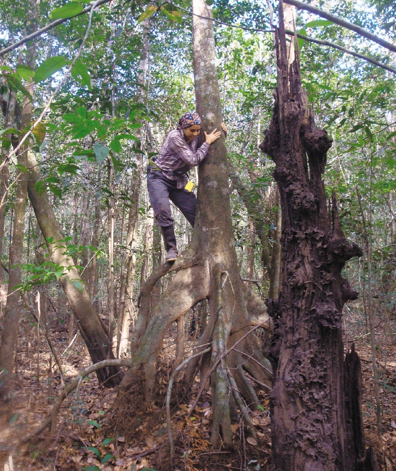 Los secretos de los bosques del Orinoco